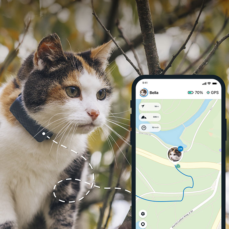 GPS-seurantalaite kissalle