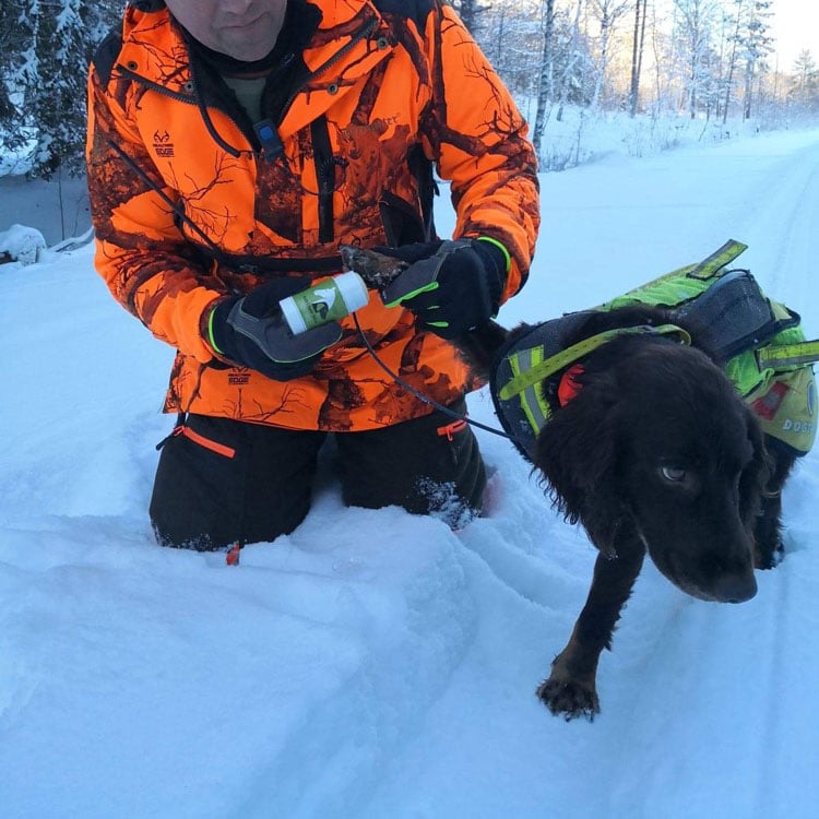 Hiertymiä ehkäisevä voide, The Skin Agent